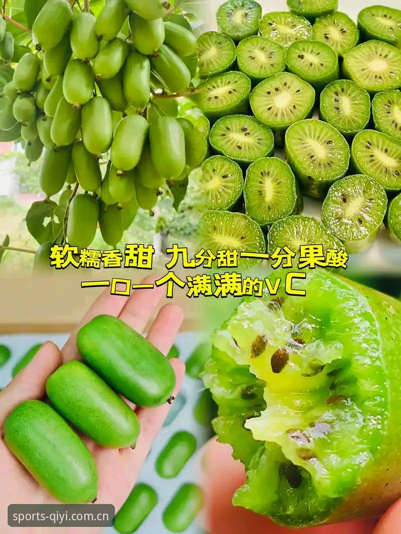 新手必看:奇异果体育最新版本评测,从下载到实战的全流程使用心得